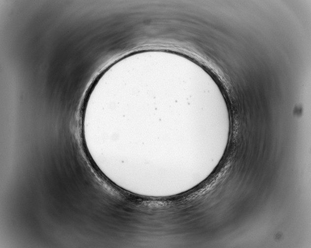 X0000103411517200810100945