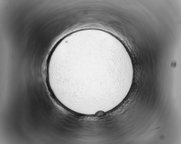 X0000103411519200810100945