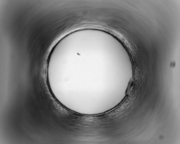 X0000103411520200810100945