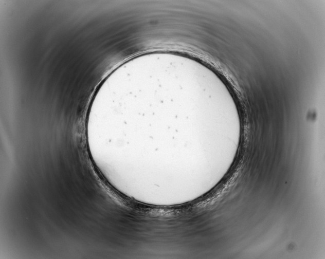 X0000103411521200810100945