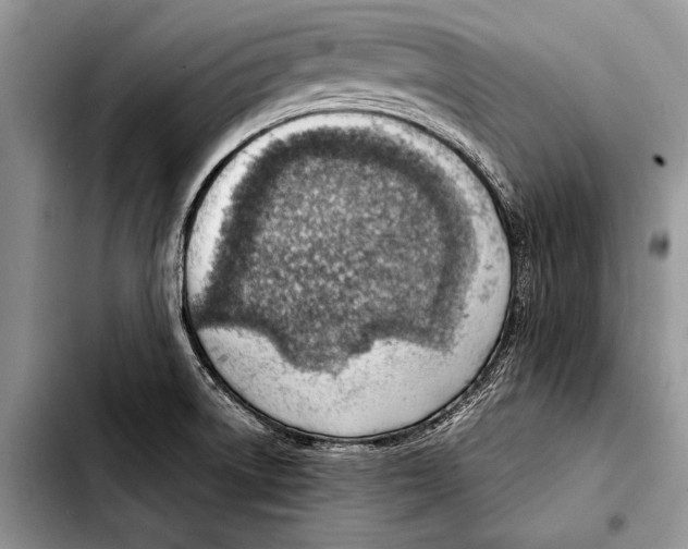 X0000103411522200810100945