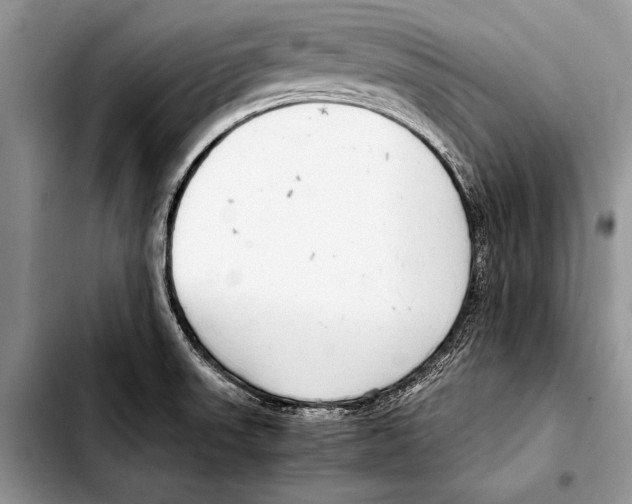 X0000103411523200810100945