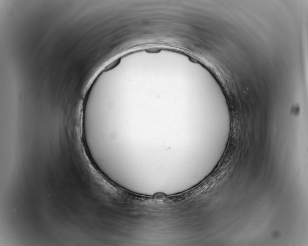 X0000103411524200810100945