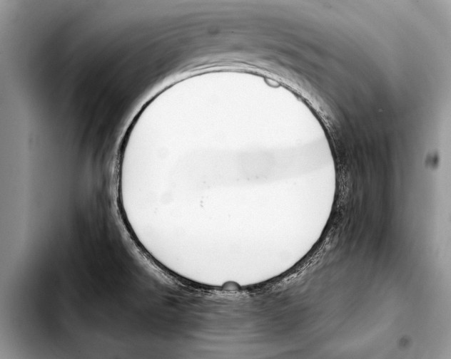 X0000103411526200810100945