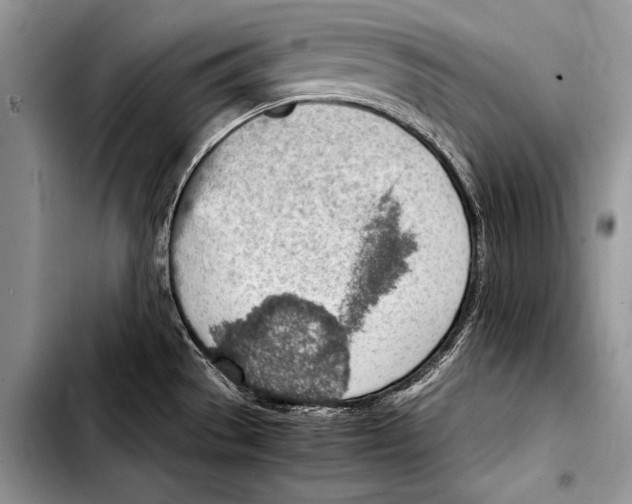 X0000103411529200810100945