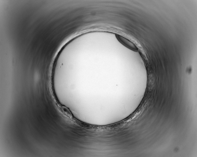 X0000103411530200810100945