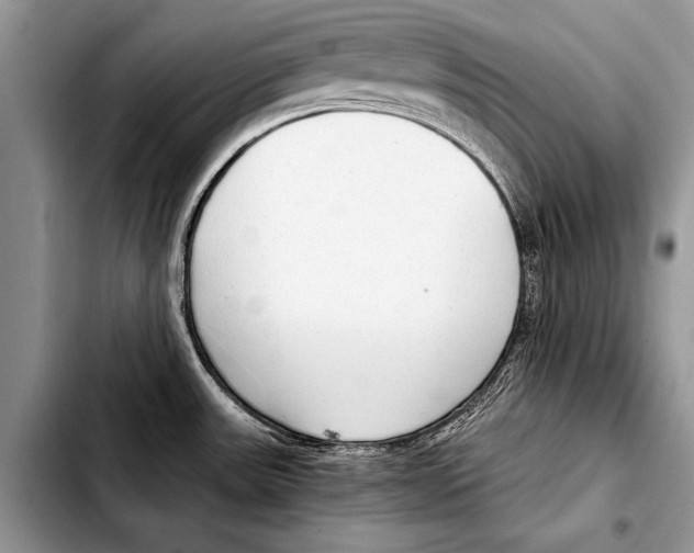 X0000103411531200810100945