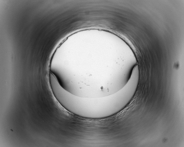 X0000103411532200810100945