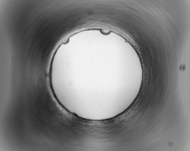 X0000103411536200810100945