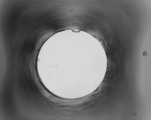 X0000103410001200810241219