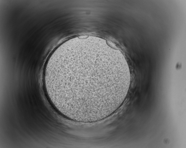 X0000103410002200810241219