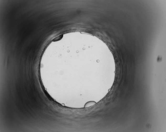 X0000103410003200810241219