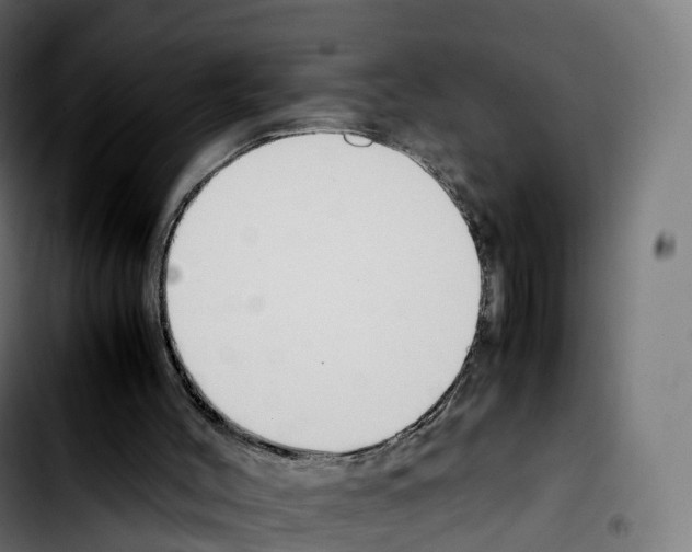 X0000103410004200810241219