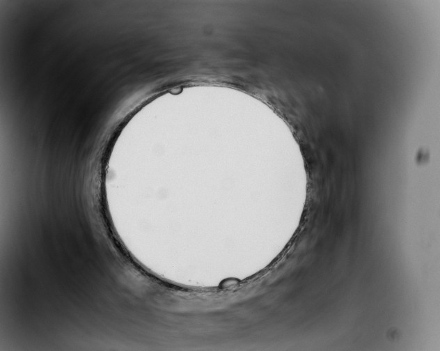 X0000103410005200810241219