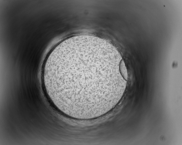 X0000103410006200810241219