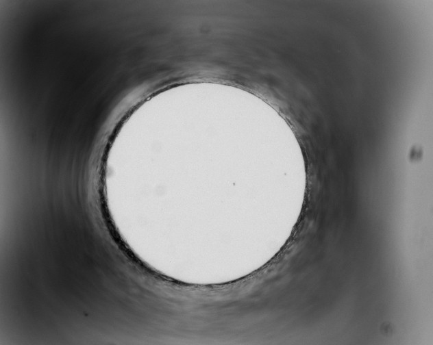 X0000103410007200810241219