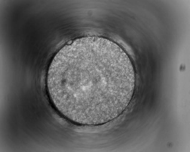 X0000103410009200810241219