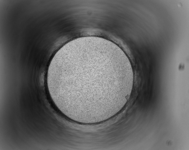 X0000103410010200810241219