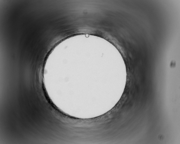 X0000103410011200810241219