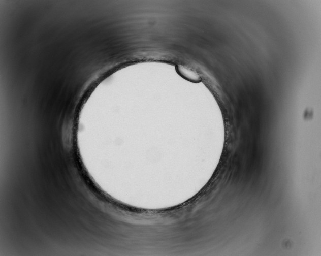 X0000103410012200810241219