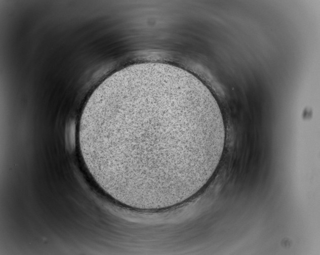 X0000103410014200810241219