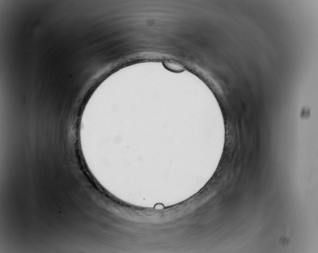 X0000103410015200810241219