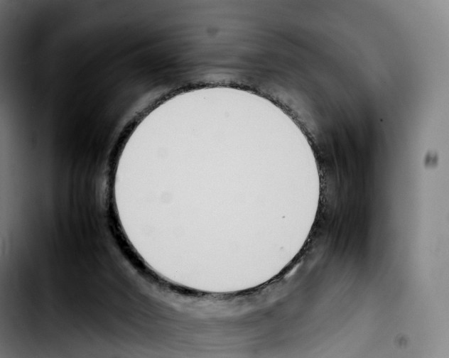 X0000103410016200810241219