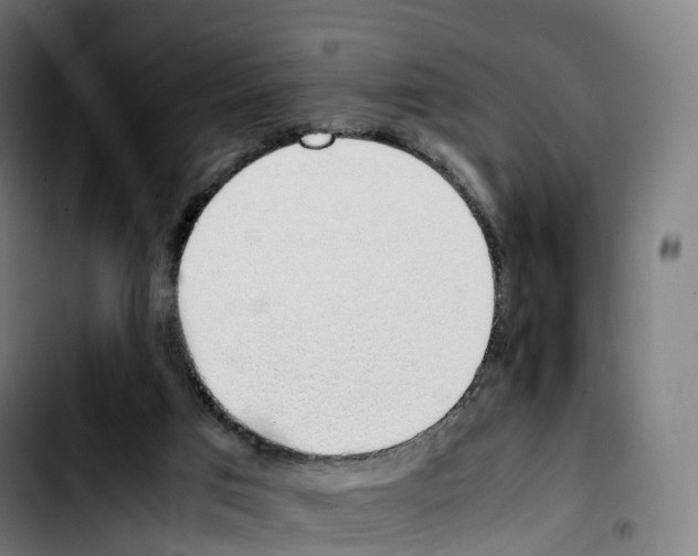 X0000103410017200810241219