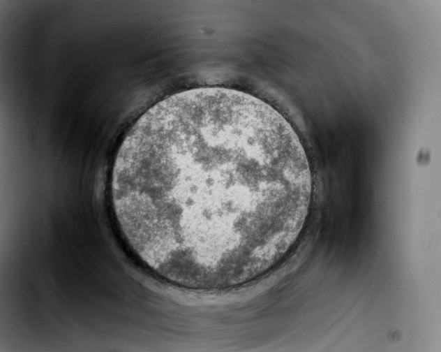 X0000103410018200810241219