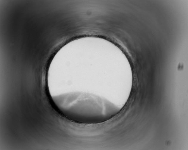 X0000103410019200810241219