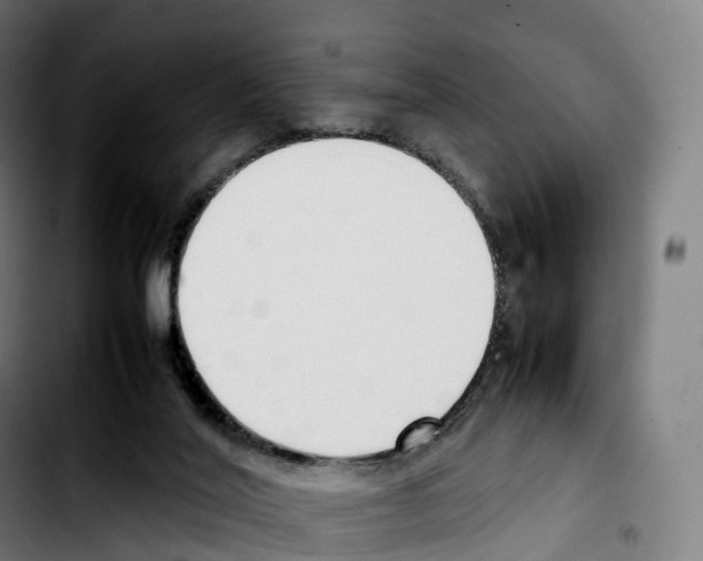 X0000103410020200810241219