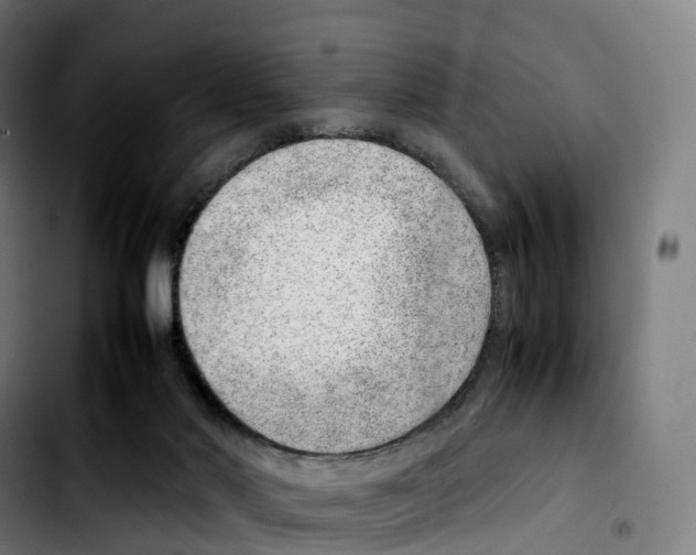 X0000103410022200810241219