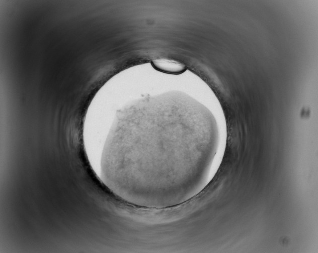 X0000103410023200810241219