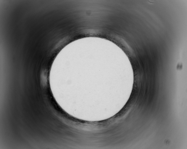 X0000103410024200810241219