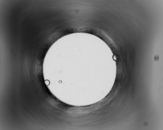 X0000103410025200810241219