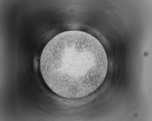 X0000103410026200810241219