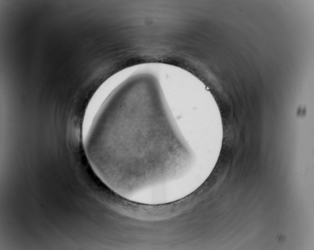 X0000103410027200810241219