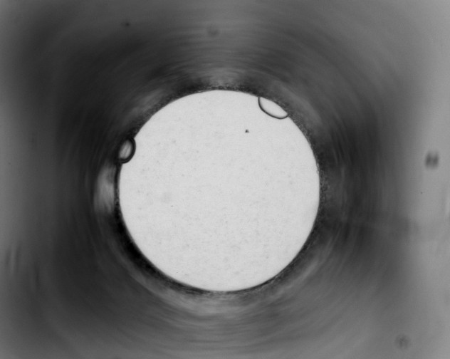 X0000103410028200810241219