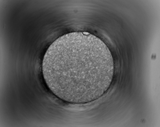 X0000103410029200810241219