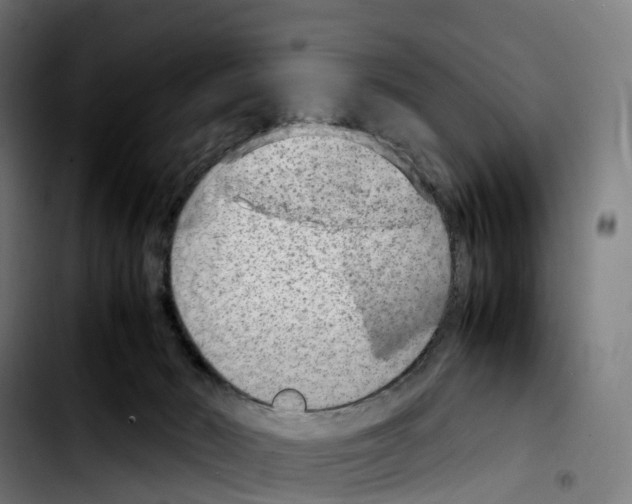 X0000103410030200810241219