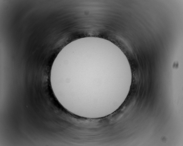 X0000103410032200810241218