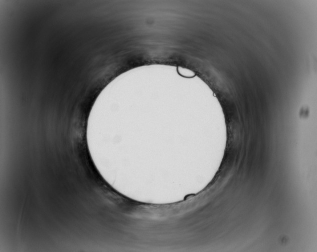 X0000103410033200810241218