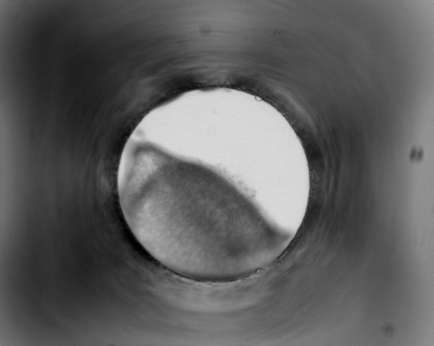 X0000103410035200810241218