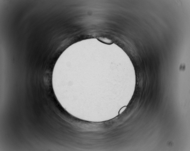 X0000103410036200810241218