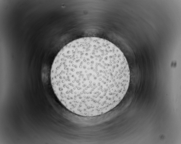 X0000103410038200810241218