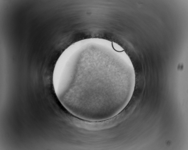 X0000103410039200810241218