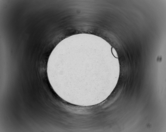 X0000103410040200810241218