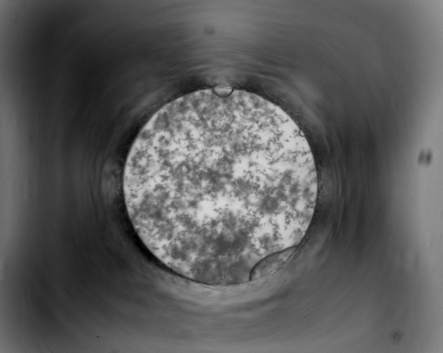 X0000103410043200810241218