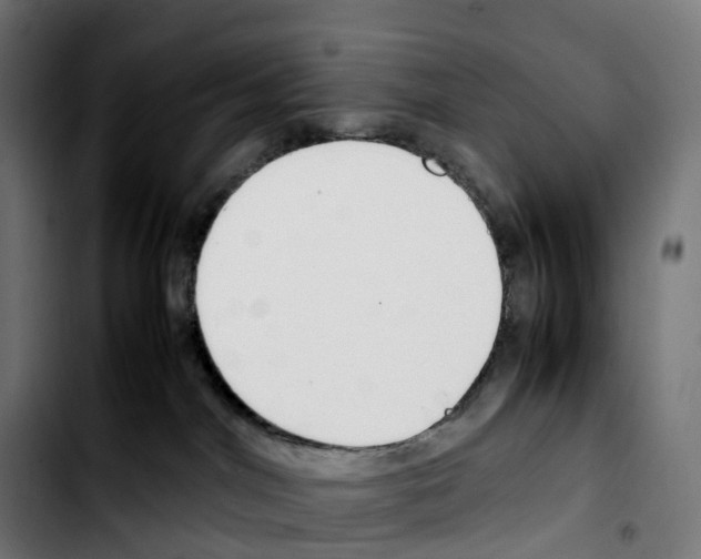 X0000103410044200810241218