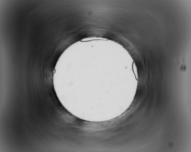 X0000103410045200810241218